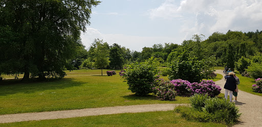 Parkplatz Wiligrad Gallery - Germany
