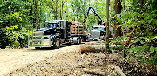PL Transit Inc. - Visual