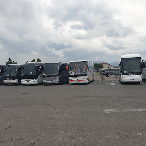 Check Point Pisa - Thumbnail