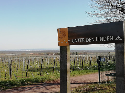 Unter den Linden - Impflingen - Thumbnail