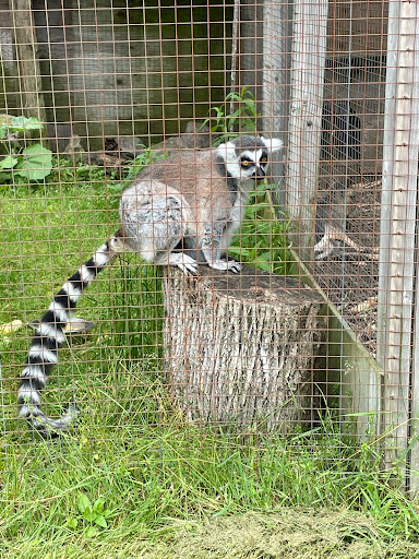 Saunders Country Critters Zoological Sanctuary & Garden Center