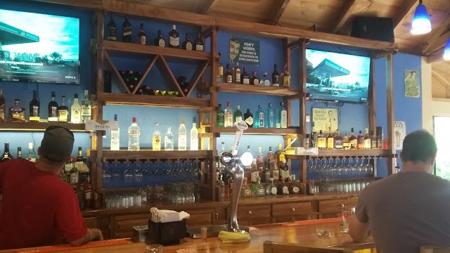 The Blue Parrot