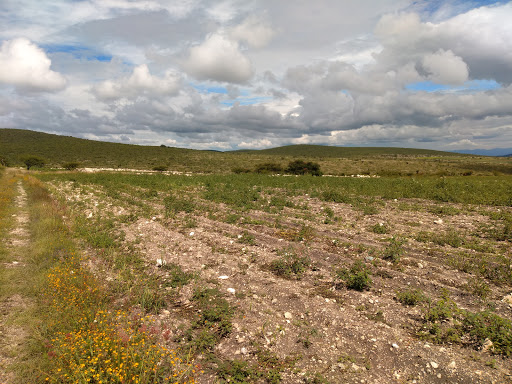 La Barranca Blanca