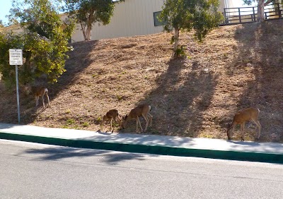 Photos of Pepperdine University