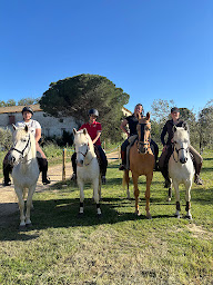 Photo n°4 de Écurie de Tavillan à Saint-Geniès-de-Malgoirès (Centre équestre)