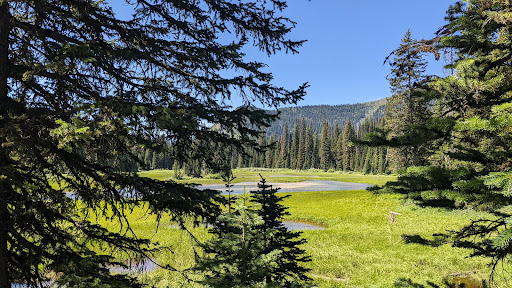 Red Meadow Lake Campground - Thumbnail