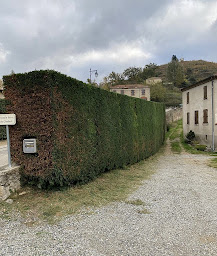 Photo n°3 de BUISSON Paysages à Tournon-sur-Rhône (Paysagiste)