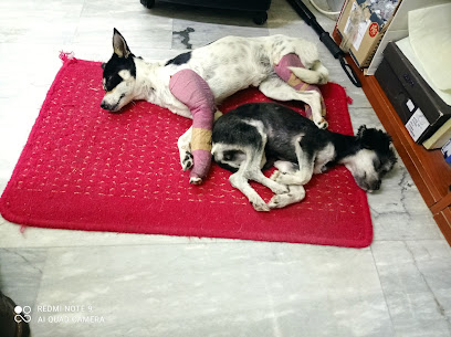 Κτηνιατρείο Αμαλιάδα Κεφάλας Ιωάννης