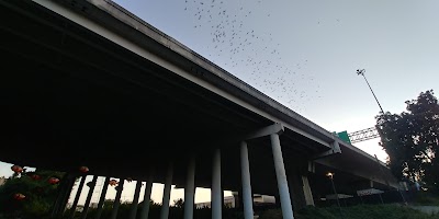 Camden Street Riverwalk Bridge