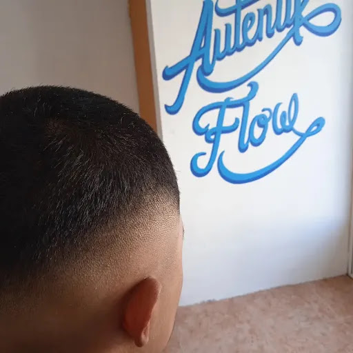 AutentikFlow - Visual