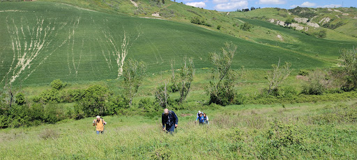 RAPOLANO TERME SIENA - Thumbnail