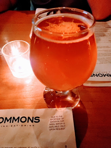 THE|COMMONS - Visual