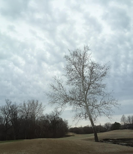 Ator Park - Visual