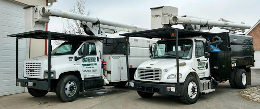 Baker Tree Services - Visual