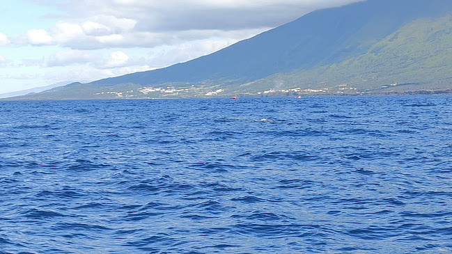 Bento Cordeiro - Guia de Turismo - Açores