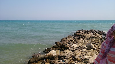 Photos of Yılmaz Kamping