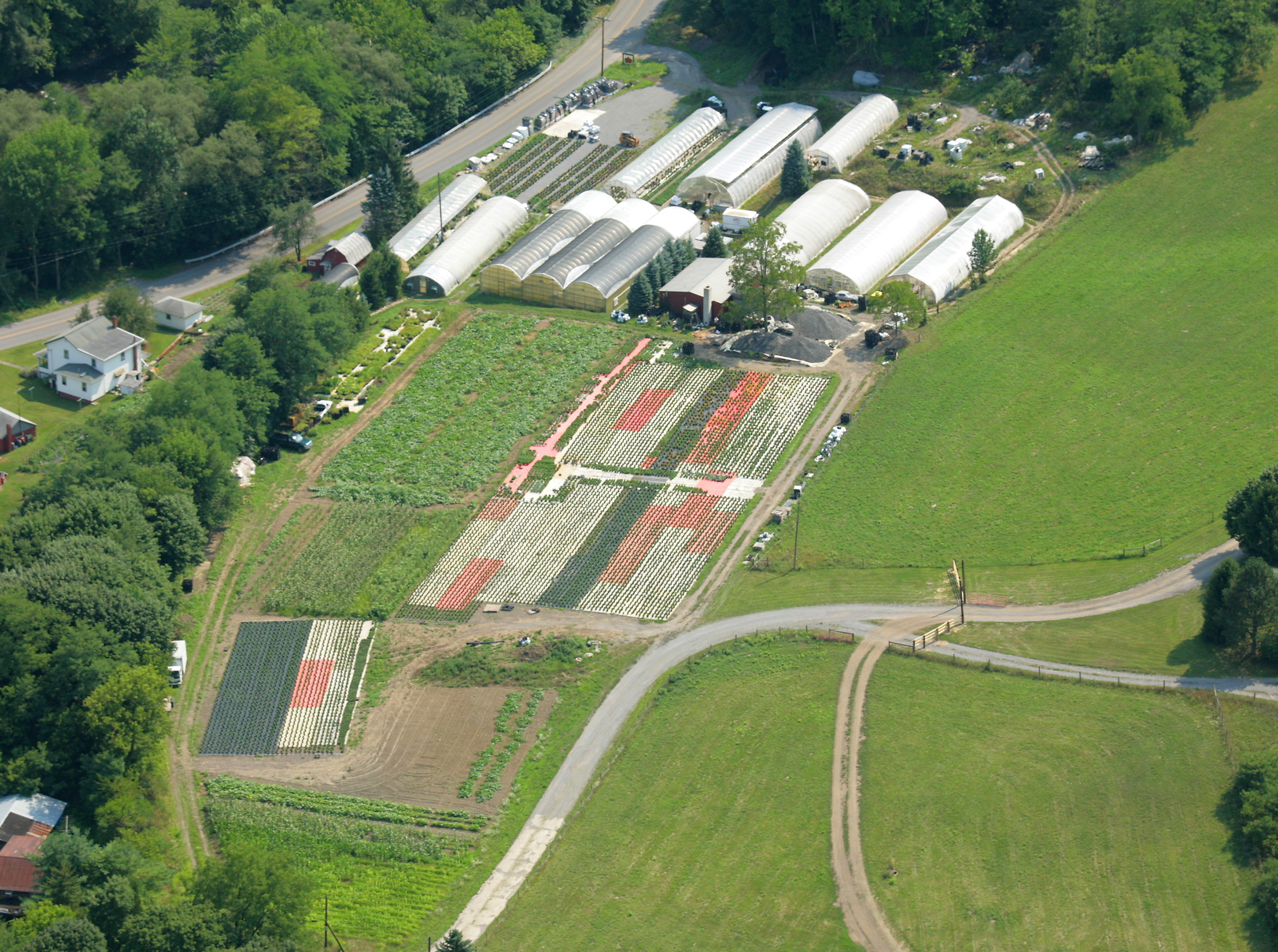 Rozick's Greenhouse