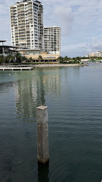 Renaissance Cancun Resort & Marina by null