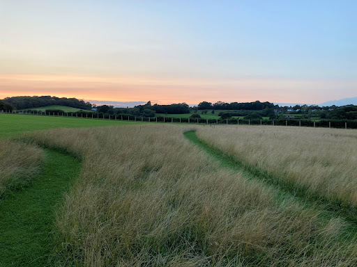 Inca's Field (Dog walking field area - Incasfield.weebly.com) Gallery - United Kingdom