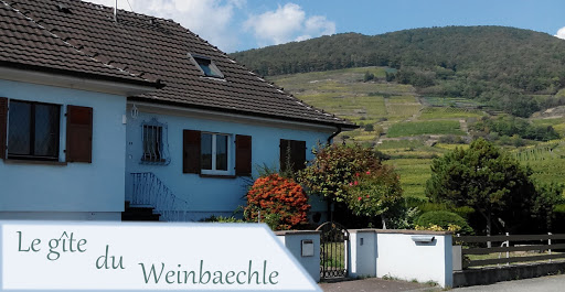Photo de Alsacebnb - Gîte 12 personnes dans le vignoble - Piscine privée chauffée & Spa à Kaysersberg (68240)