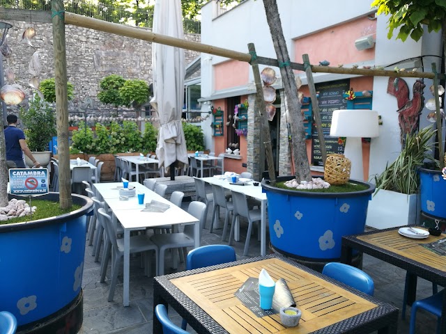 Ristorante Mondo Liquido