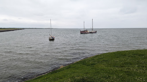 Uitzichtpunt West-Terschelling/ Beelden Park - Thumbnail