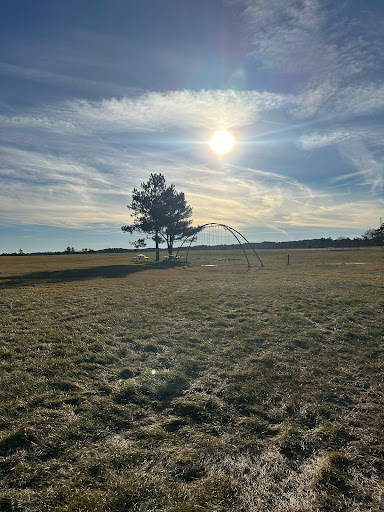 Lakeview Fields - Visual