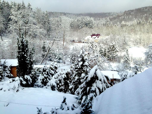 "Kleines Haus am Wald" - Thumbnail