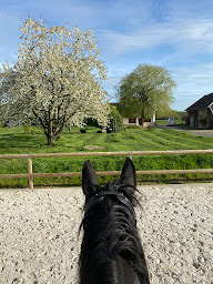 Photo n°7 de Louise Laval Dressage à Montreuil-sur-Barse (Centre équestre)