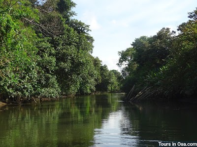 Photos of Tours in Osa