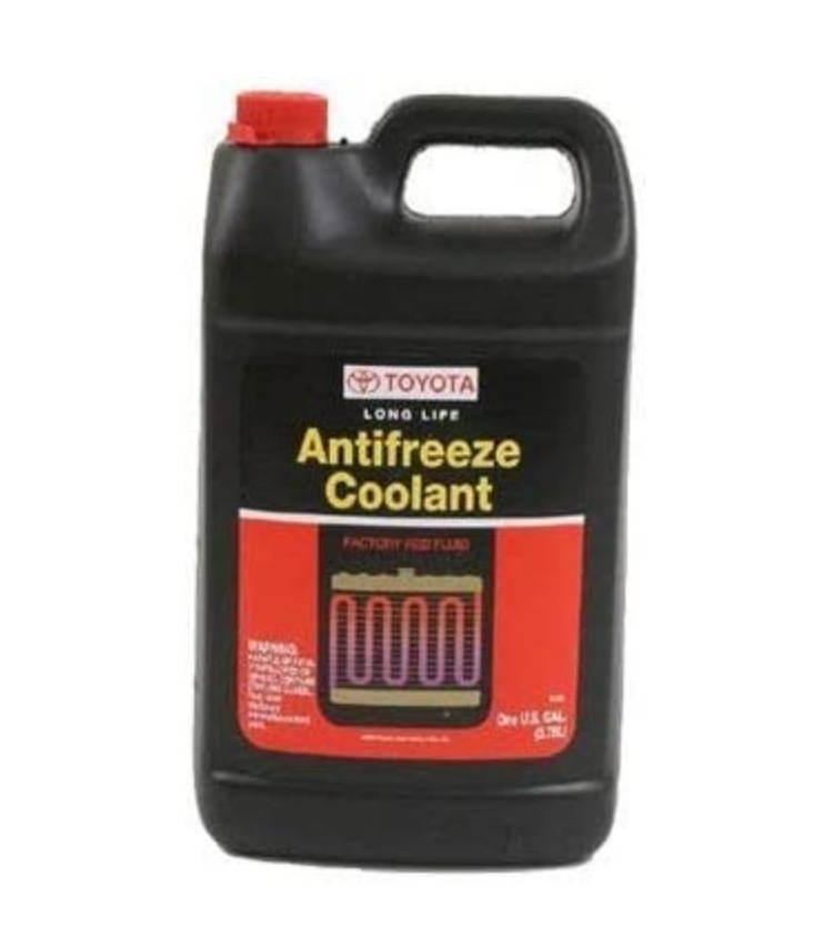 بن مغدي - صورة 2