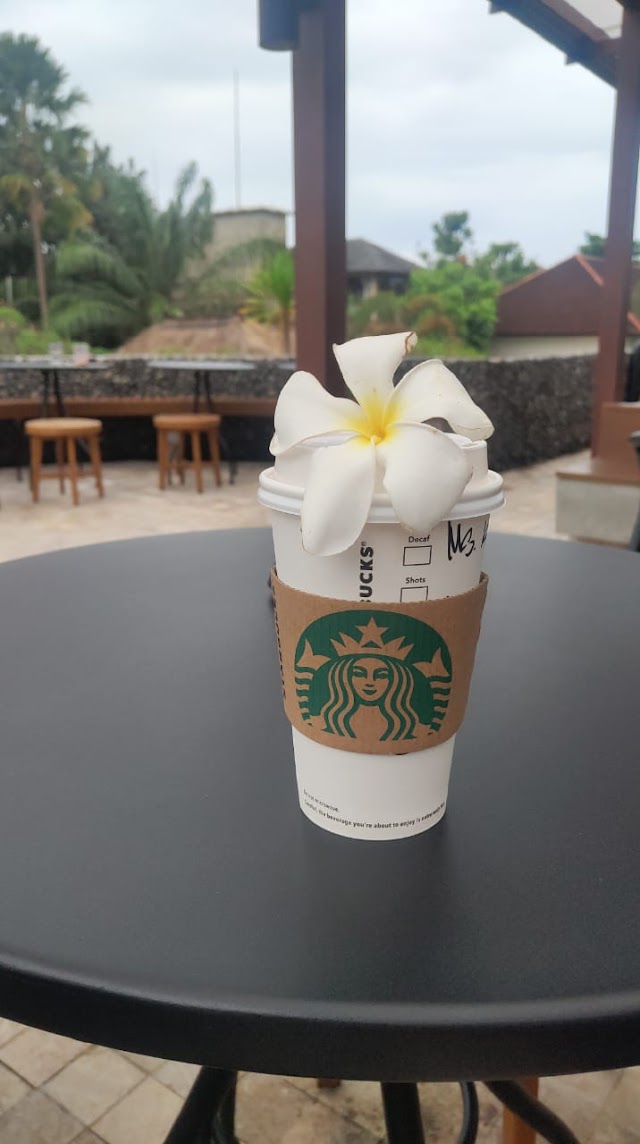 Starbucks Monkey Forest