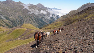 Photo n°31 de Cheval Cathare à Cucugnan (Centre de randonnée équestre)