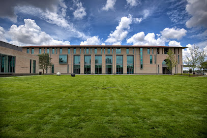 English as a Second Language at Rice University