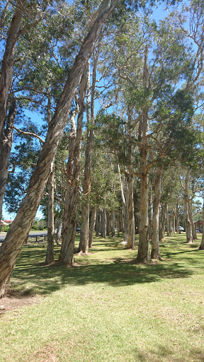 Elizabeth Reserve - Thumbnail