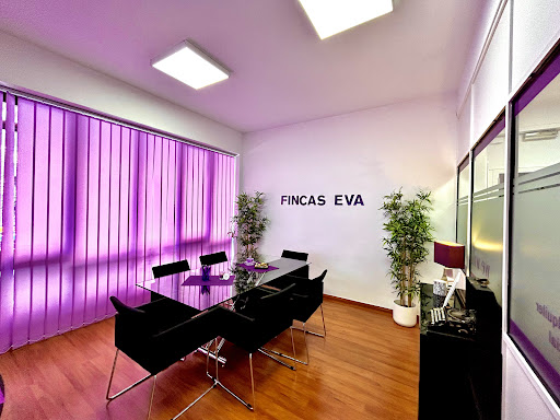 Fincas Eva - Agencia inmobiliaria en Barcelona - Thumbnail