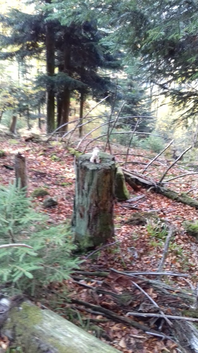 Sentier du Château de Salm