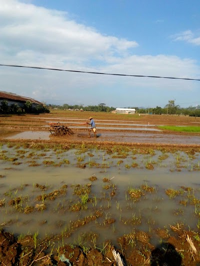 Photos of Urang Jaya Stadium Merden Banjarnegara