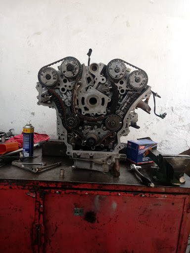 Auto-Servicio SPONGE - Visual