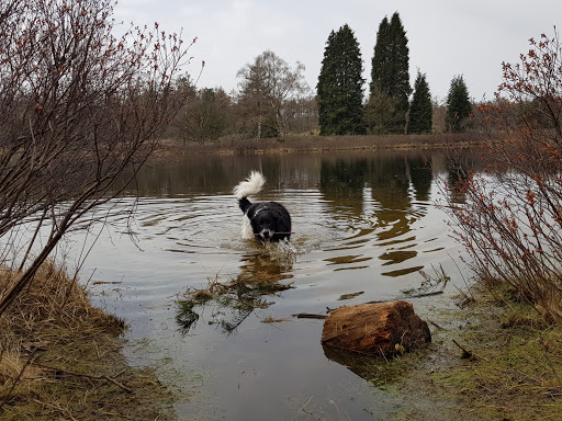 Zwemvijver De Kleine Belties - Thumbnail