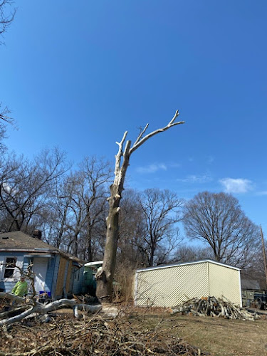 Amazing Tree Service