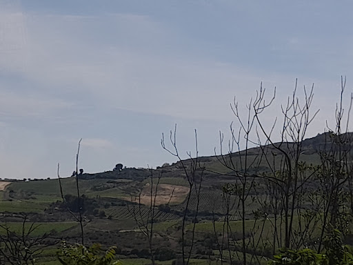 Colline del Belice - Thumbnail