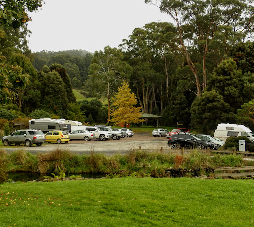 Tasmanian Arboretum - Thumbnail
