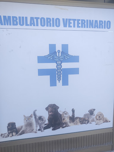 Ambulatorio veterinario Dr. Sabatini Antonio - Thumbnail