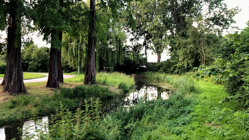 Park De Nieuwe IJsbaan - Thumbnail