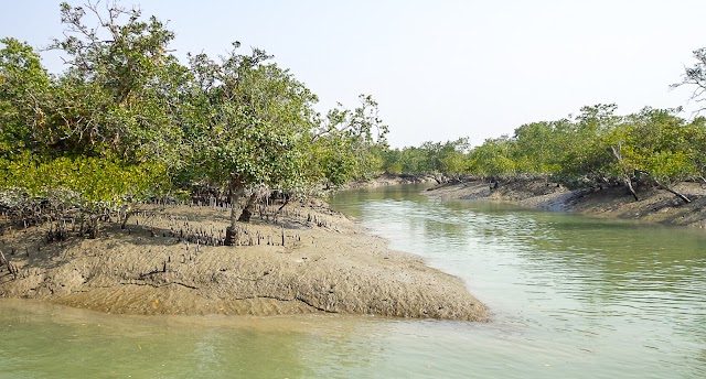 Sundarbans