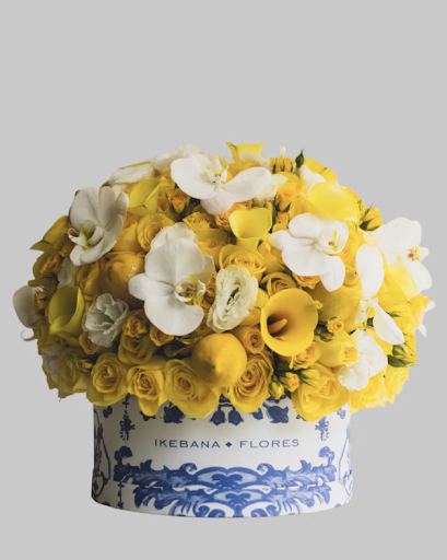 Ikebana Flores - Thumbnail