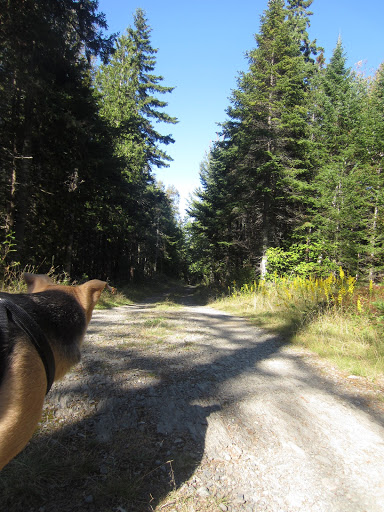 Moosehorn National Wildlife Refuge - Ox Cove - Thumbnail