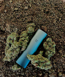 Photo n°18 de Cbd shop Greend'or saint Just en chaussée à Saint-Just-en-Chaussée (Magasin de cannabis)