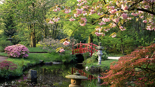 Photo n°3 de MN Flutet à Saint-Trivier-sur-Moignans (Entreprise de VRD)